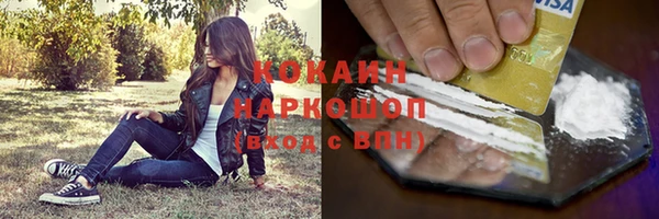 ПСИЛОЦИБИНОВЫЕ ГРИБЫ Медногорск