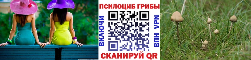 Галлюциногенные грибы Magic Shrooms  купить наркоту  Пушкино 